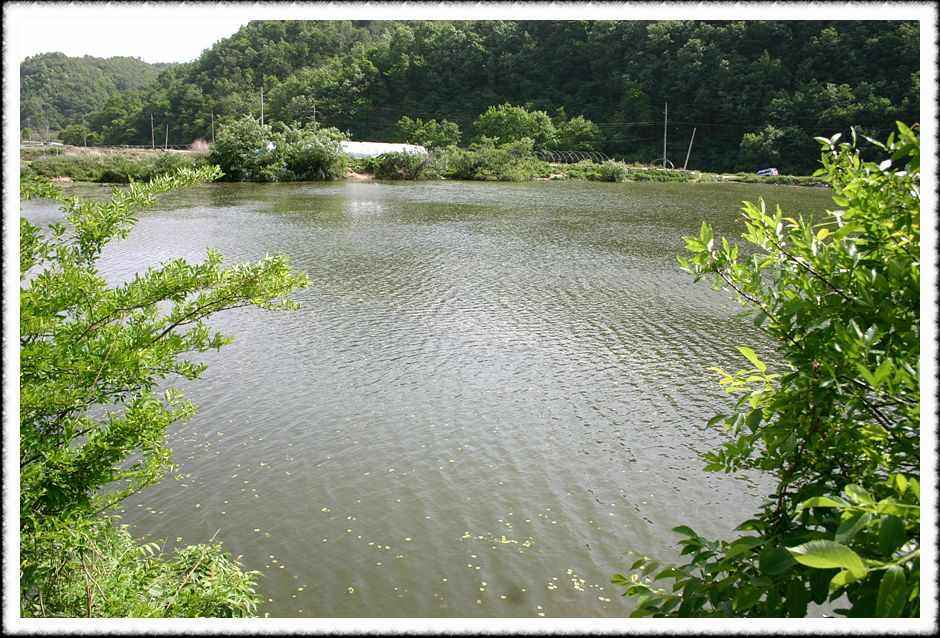 20070526_46.jpg