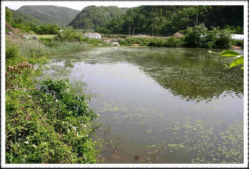 20070526_47.jpg