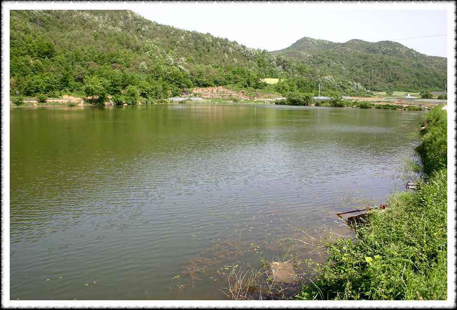 20070526_48.jpg