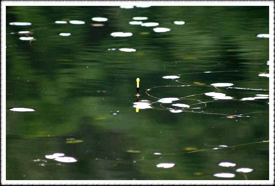 20070526_53.jpg