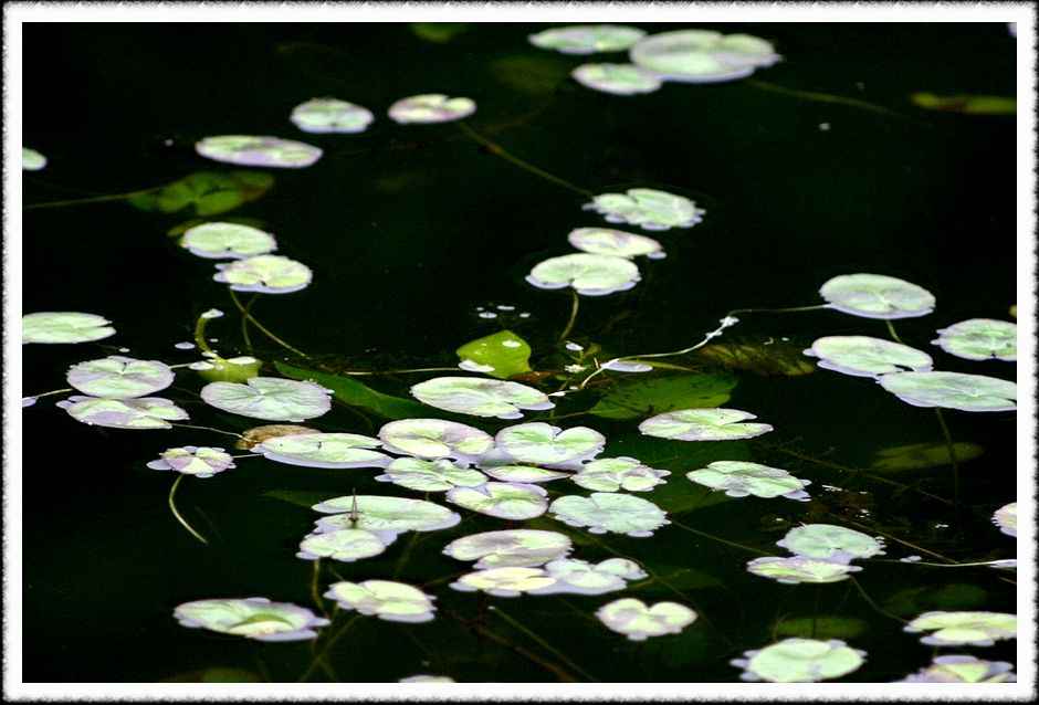 20070526_55.jpg