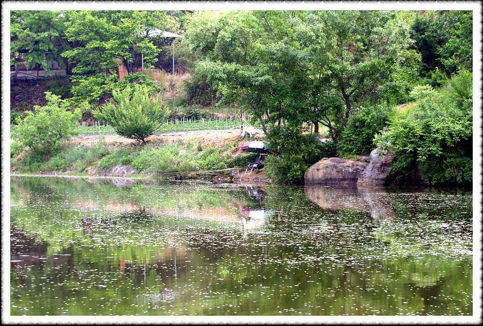 20070526_60.jpg