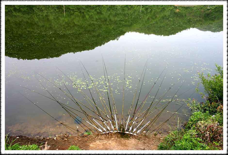 20070526_65.jpg