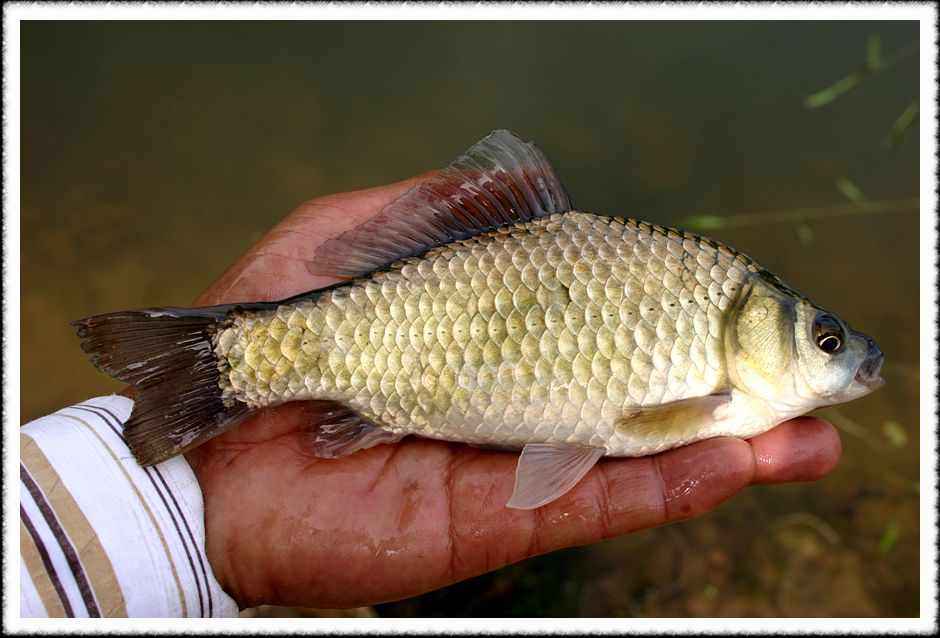 20070526_66.jpg