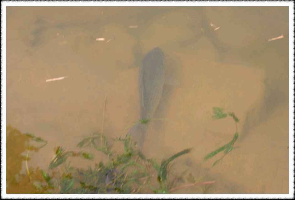 20070526_68.jpg