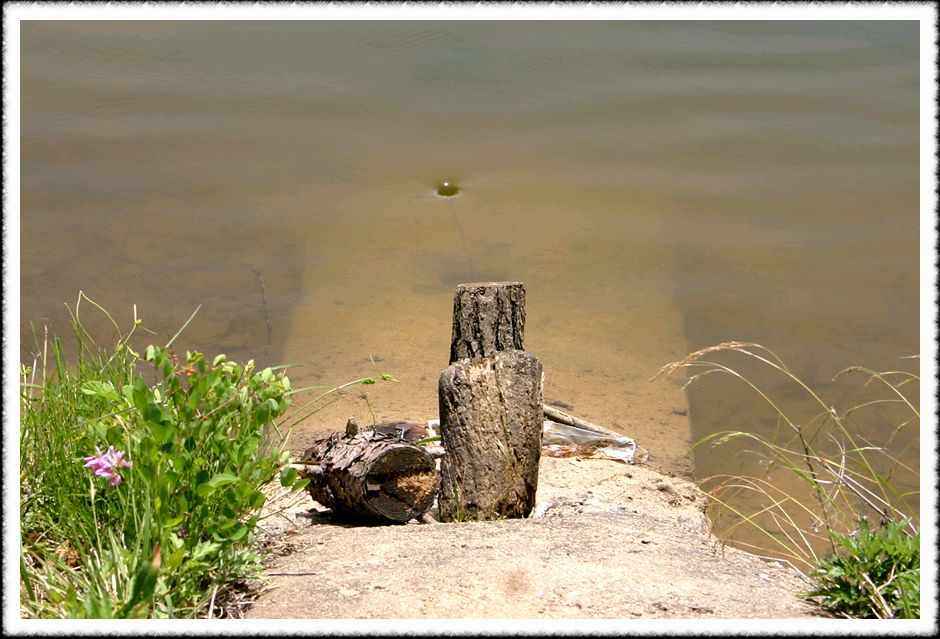 20070526d_04.jpg