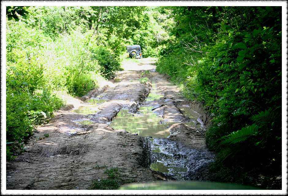 20070526d_05.jpg