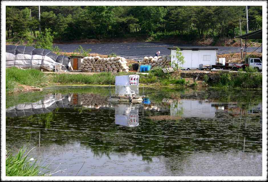 20070526d_12.jpg