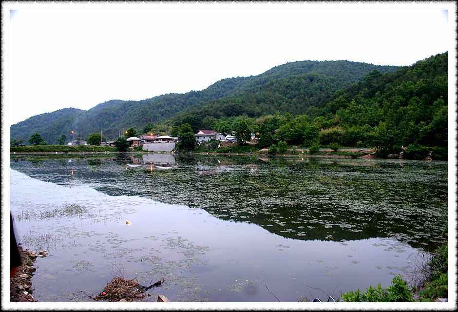 20070601_01.jpg