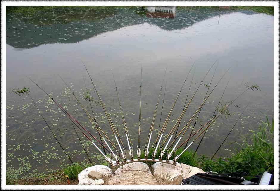20070601_19.jpg