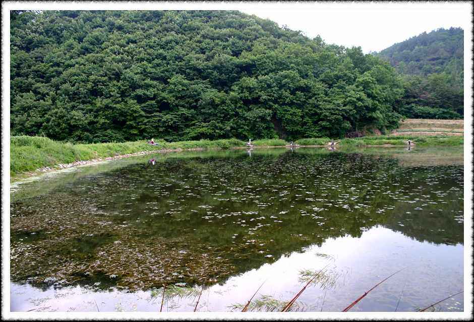 20070601_35.jpg