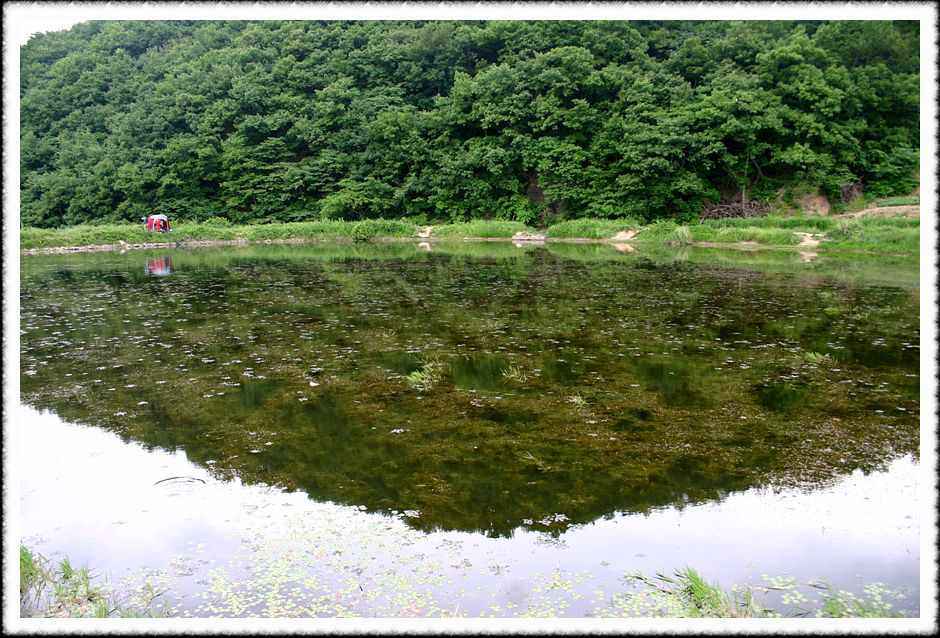 20070601_39.jpg