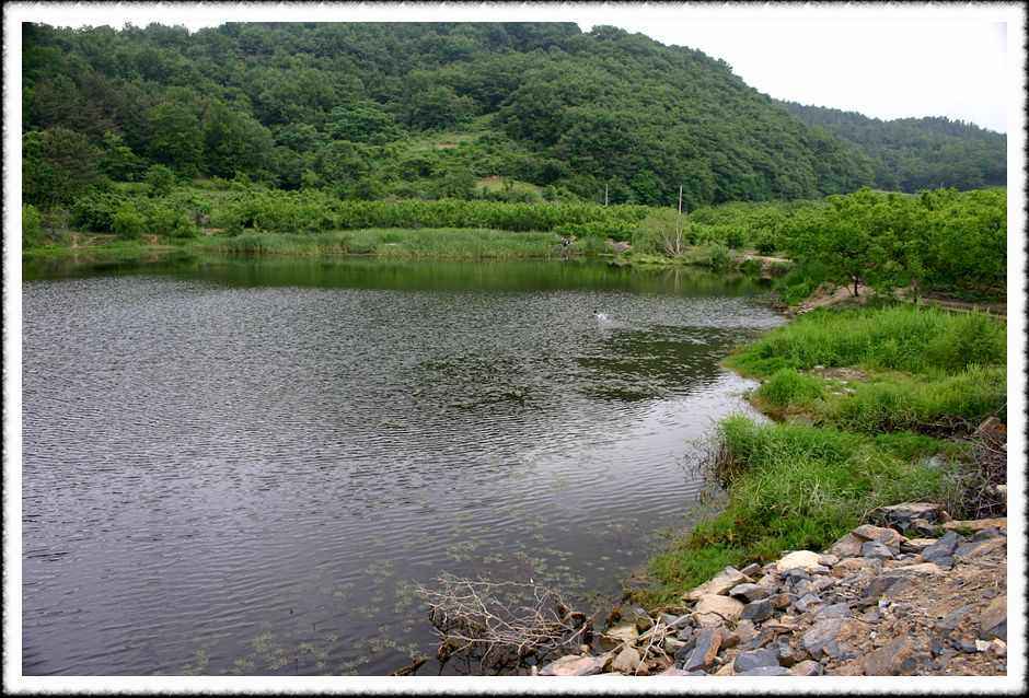 20070601_42.jpg