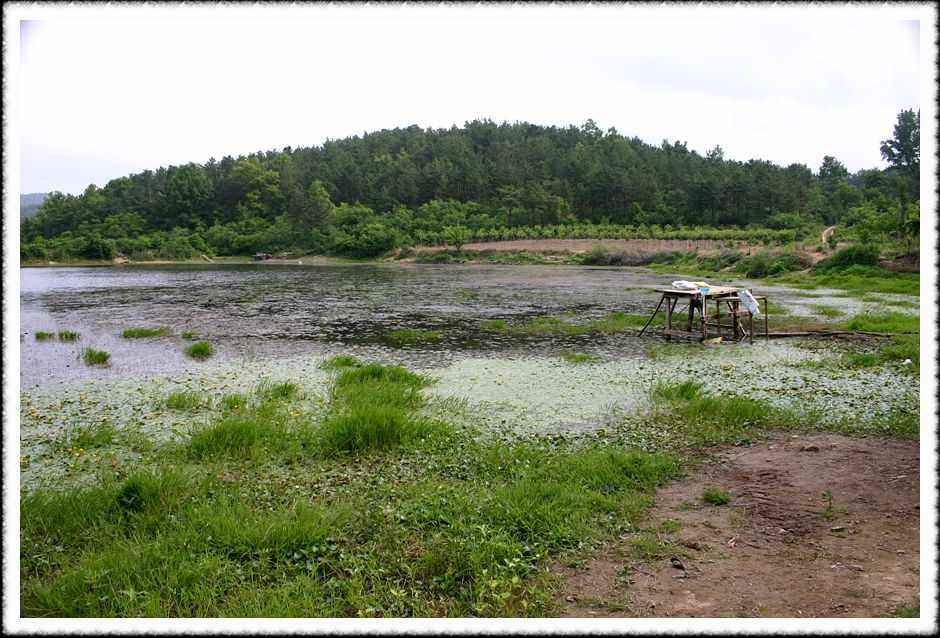 20070601_46.jpg