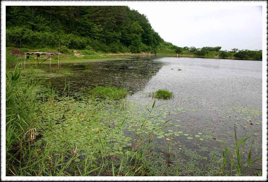 20070601_47.jpg