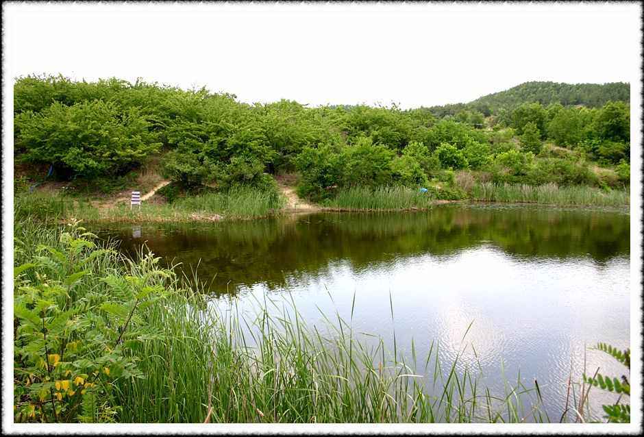 20070605_03.jpg