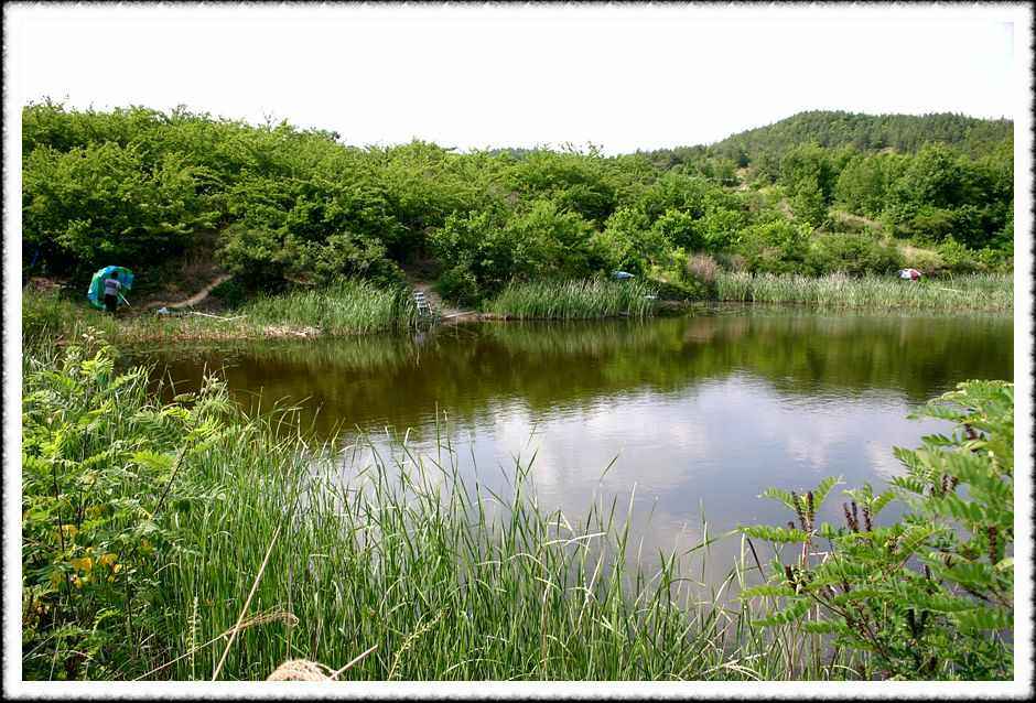 20070605_19.jpg