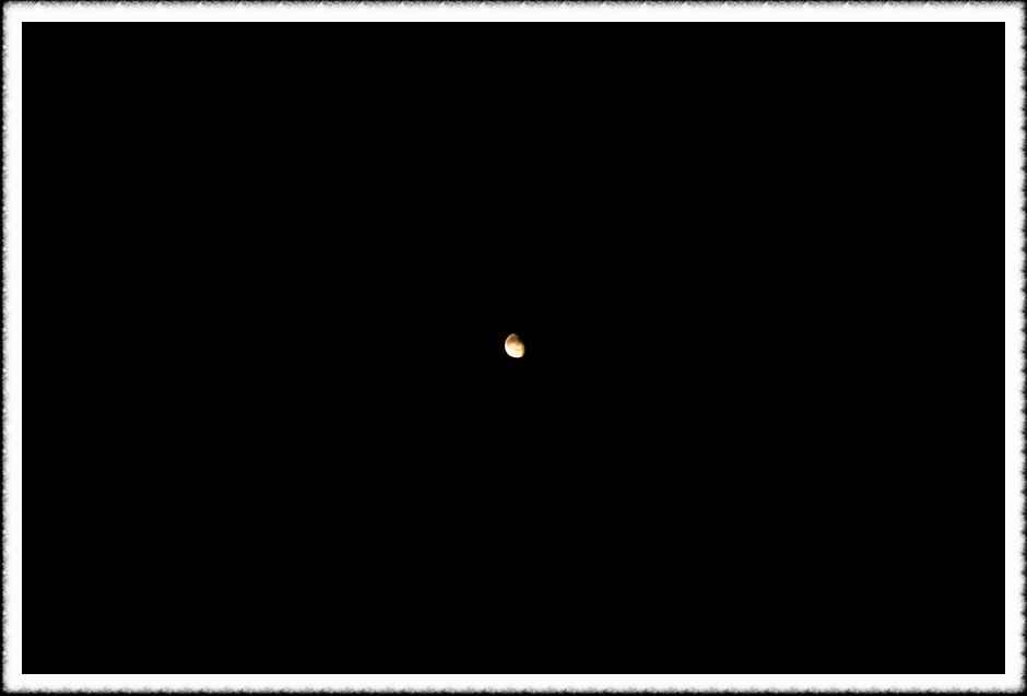20070605_23.jpg