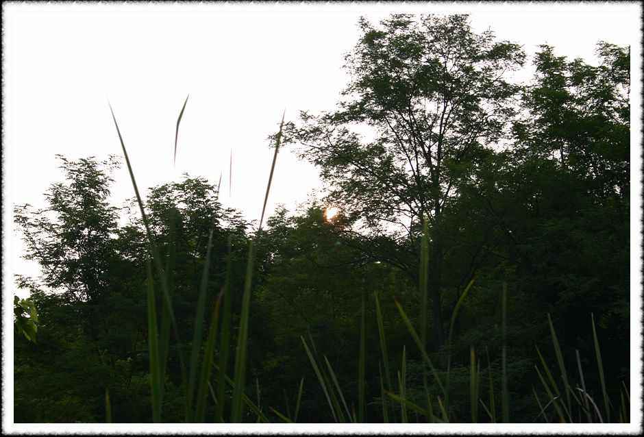 20070605_27.jpg