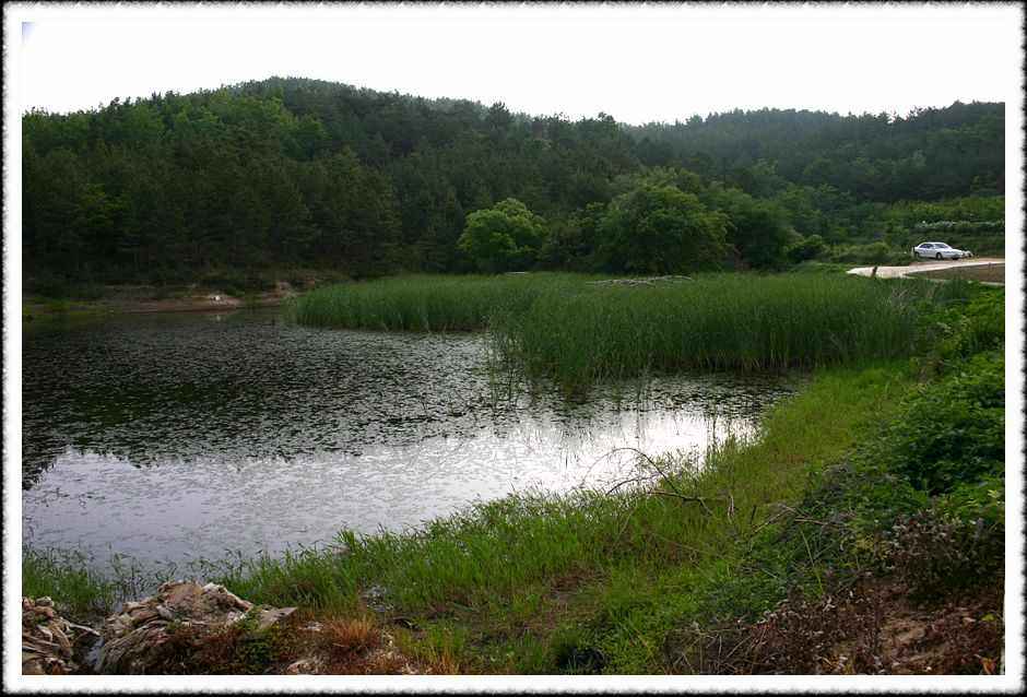 20070605_42.jpg