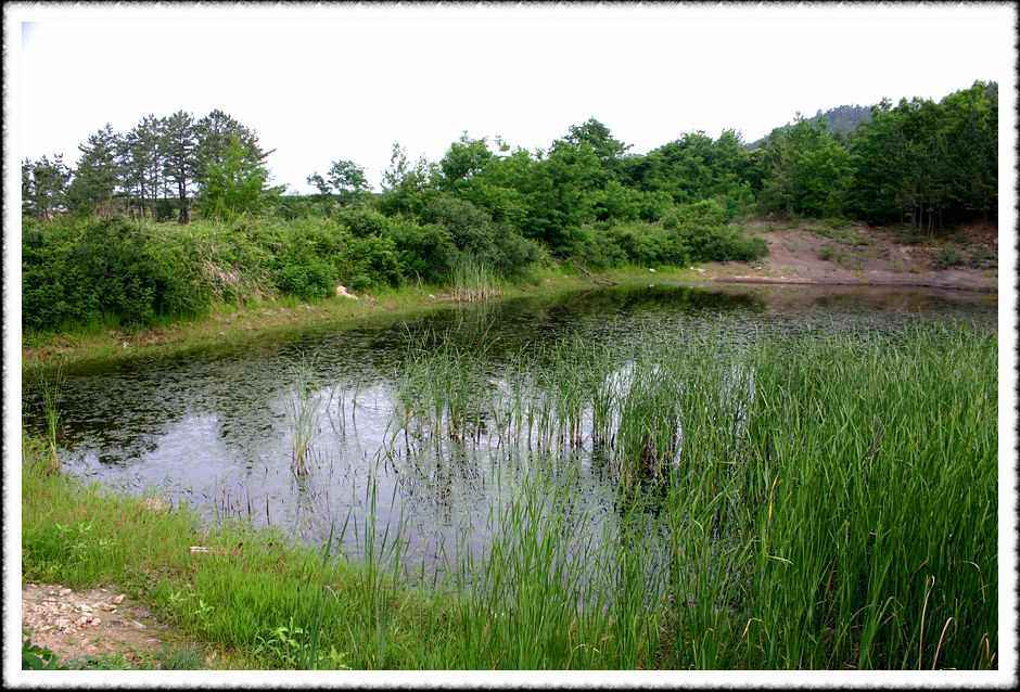 20070605_43.jpg