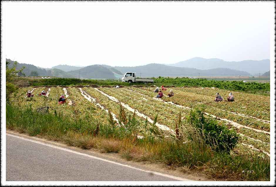 20070605_61.jpg