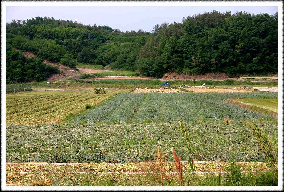 20070605_62.jpg