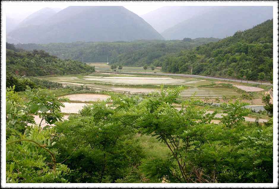 20070605_69.jpg