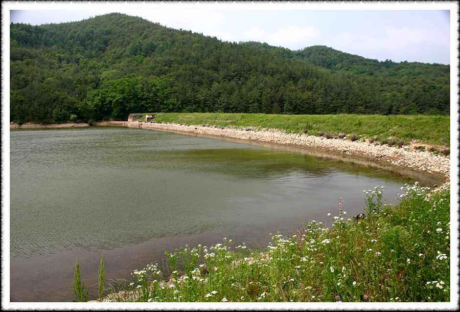 20070605_72.jpg
