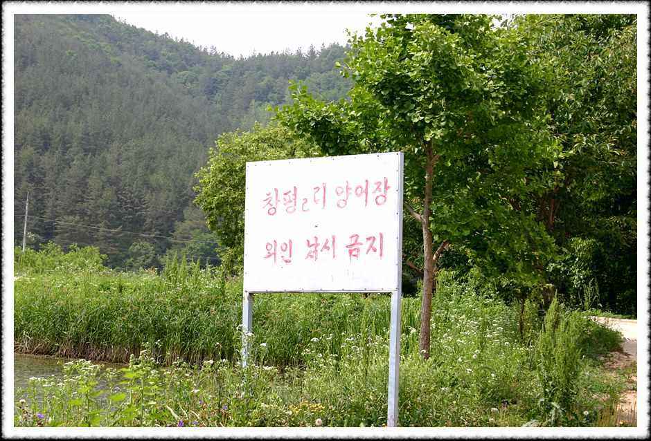 20070605_76.jpg