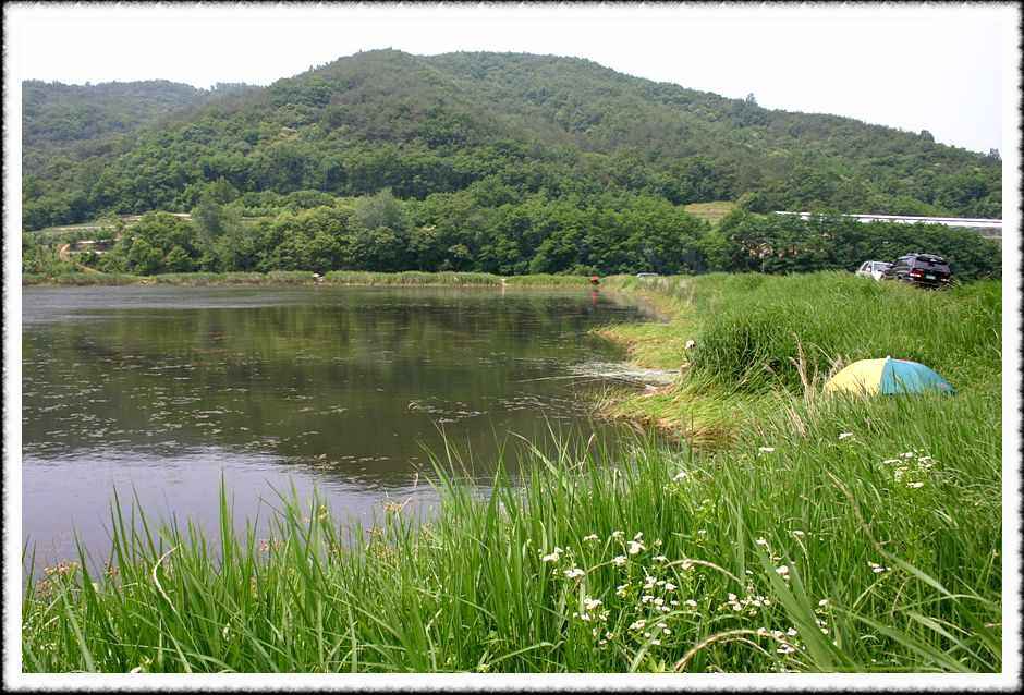 20070605_78.jpg