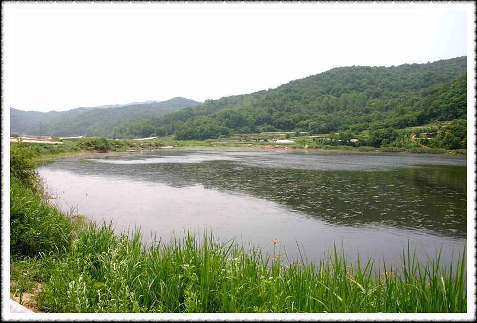 20070605_79.jpg