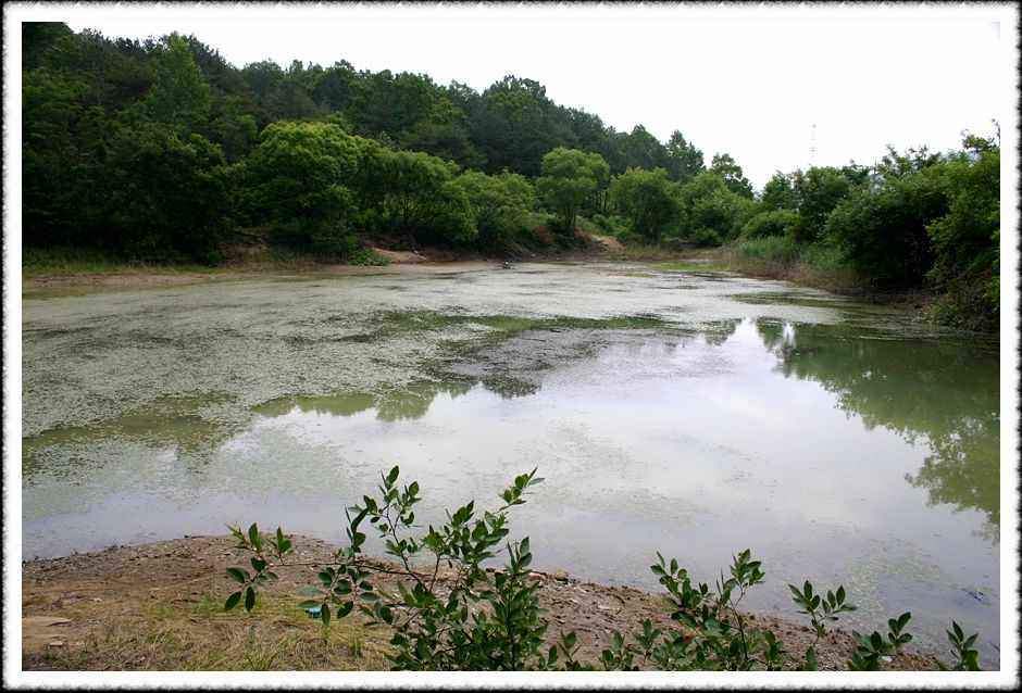 20070605_80.jpg