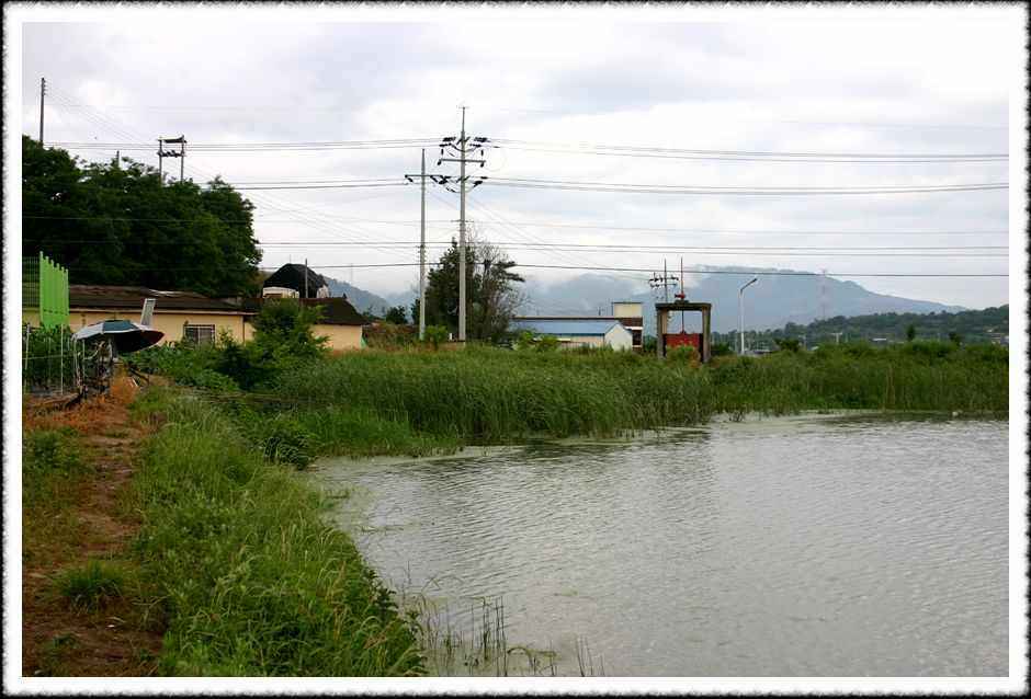 20070609_02.jpg