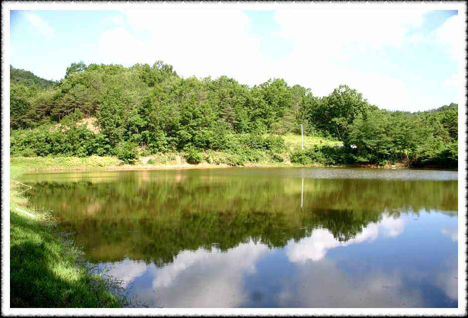 20070609_05.jpg