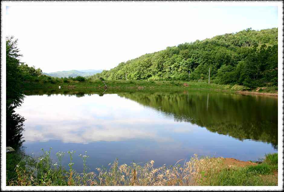 20070609_06.jpg