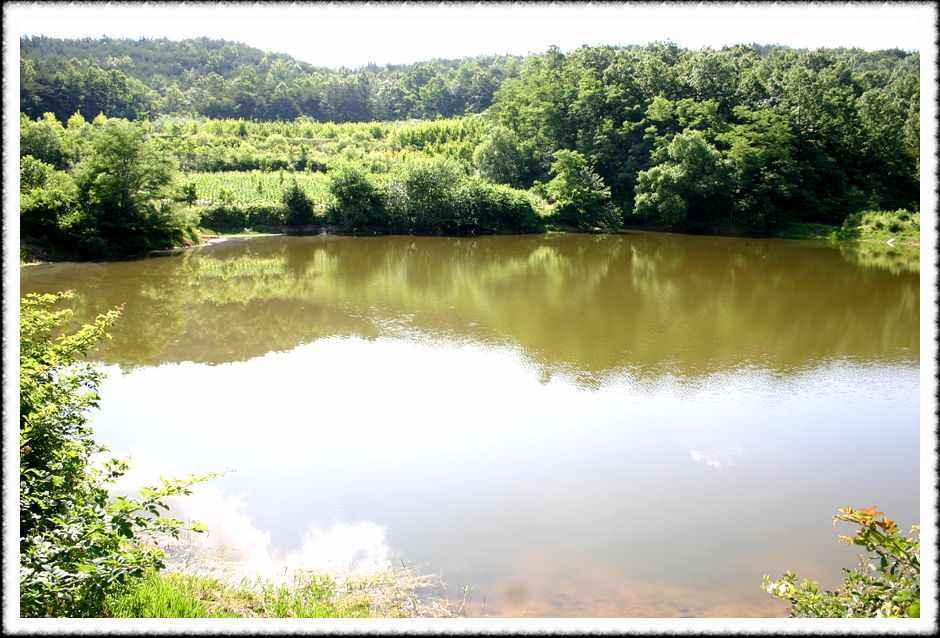 20070609_07.jpg