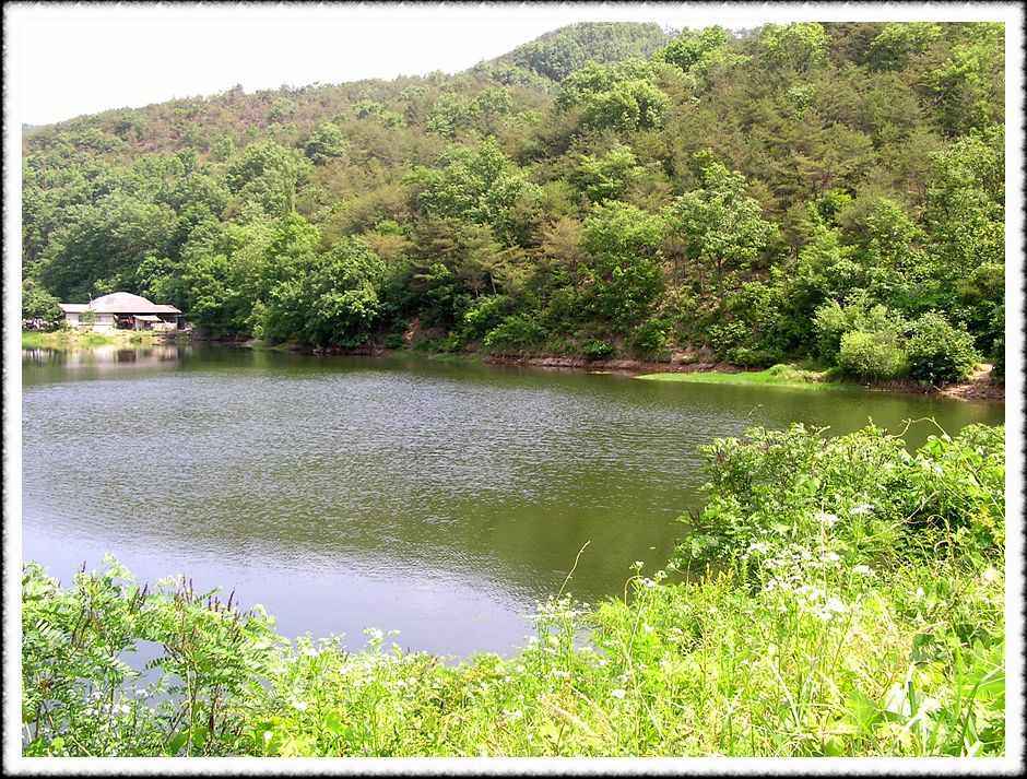20070609_101.jpg