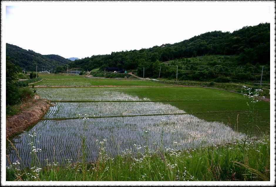 20070609_15.jpg