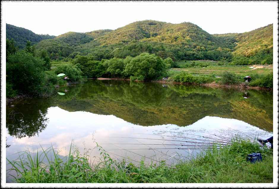 20070609_31.jpg