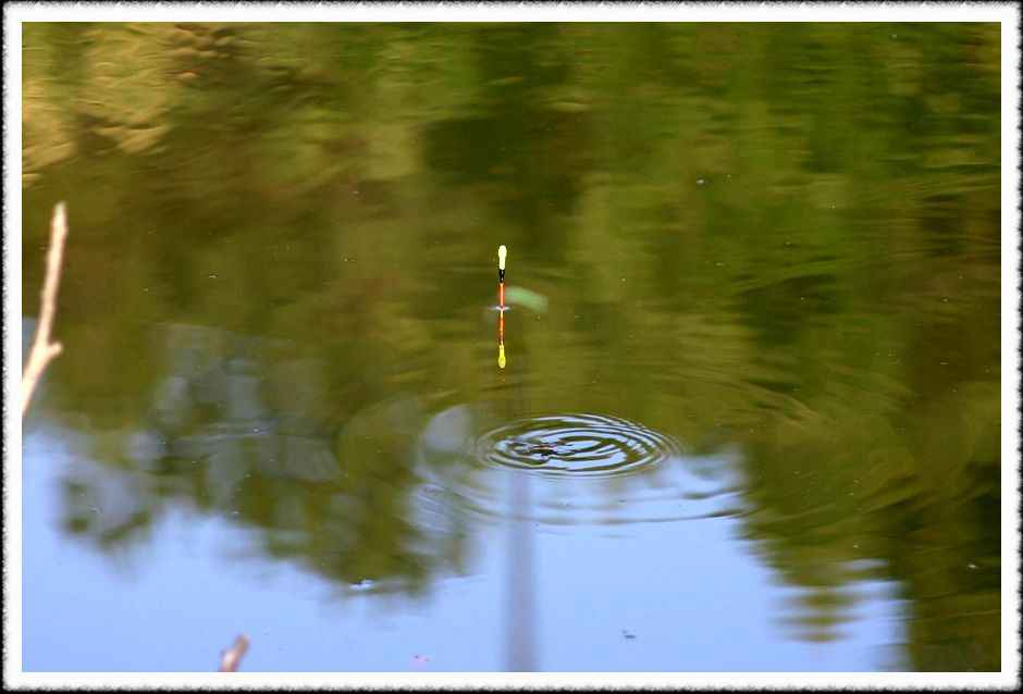 20070609_78.jpg