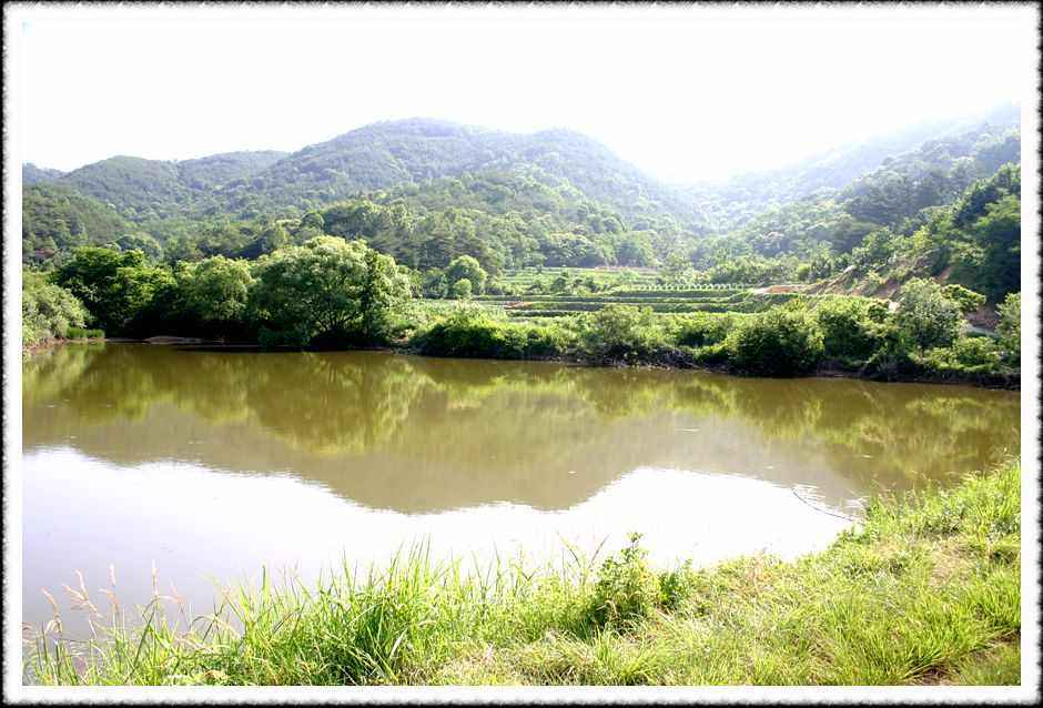 20070609_83.jpg