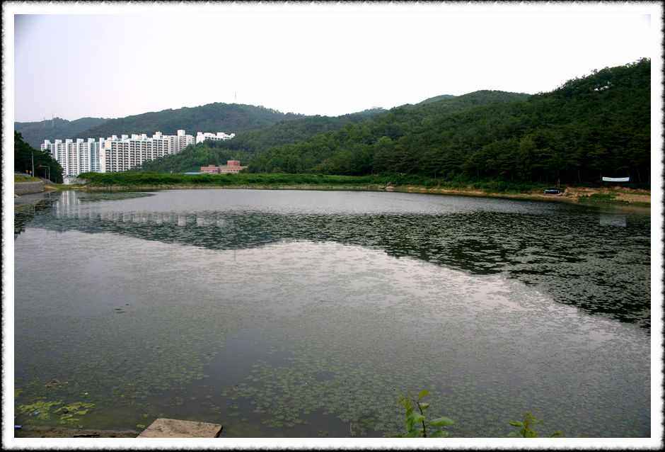 20070609_95.jpg