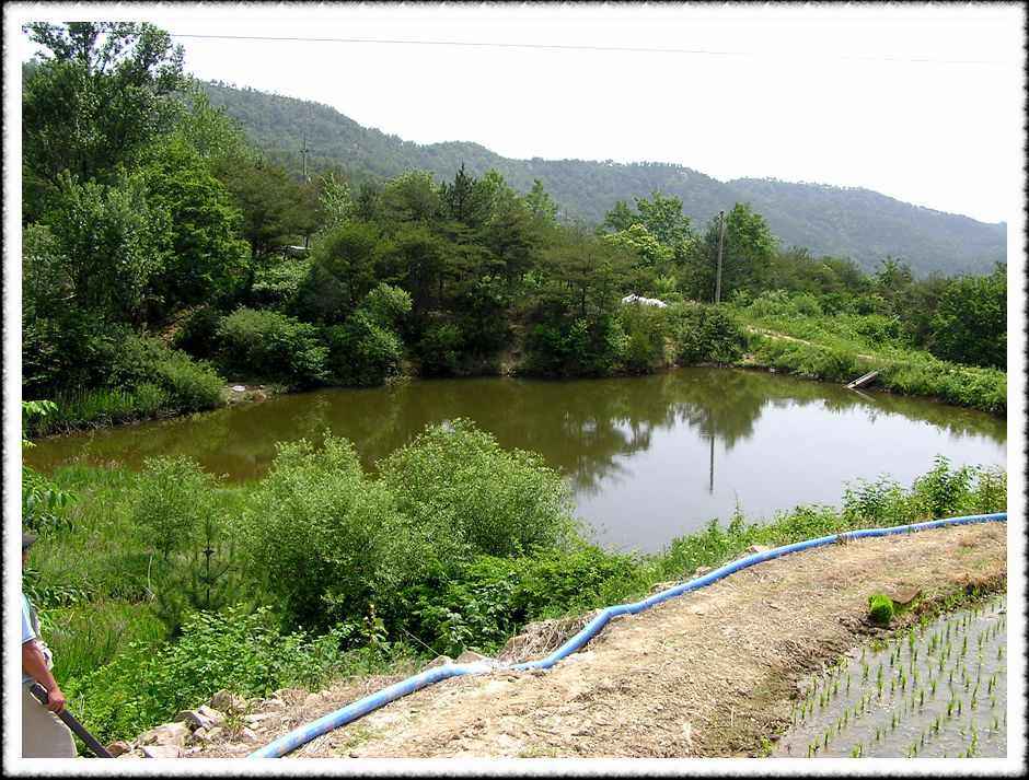 20070609_98.jpg