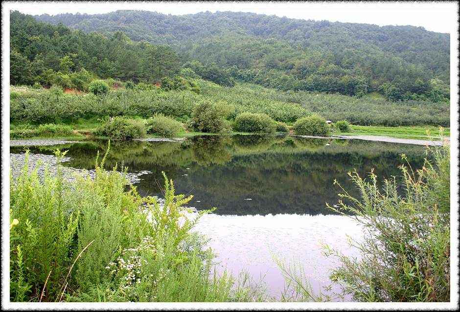 20070720_12.jpg