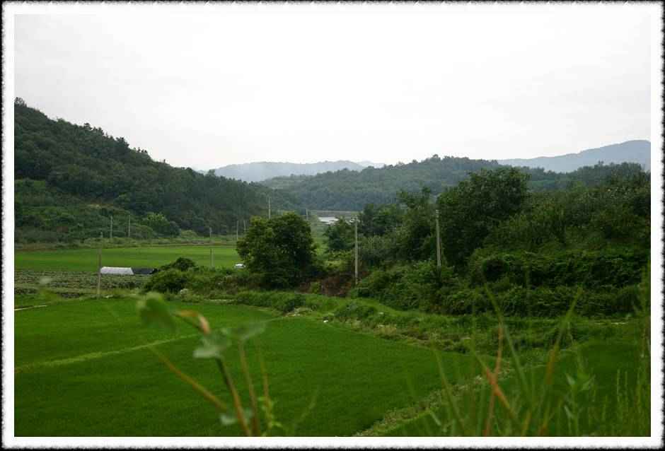 20070720_14.jpg