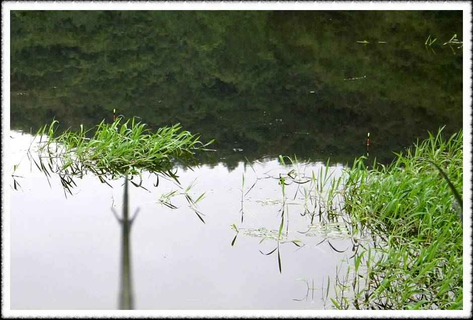 20070720_23.jpg