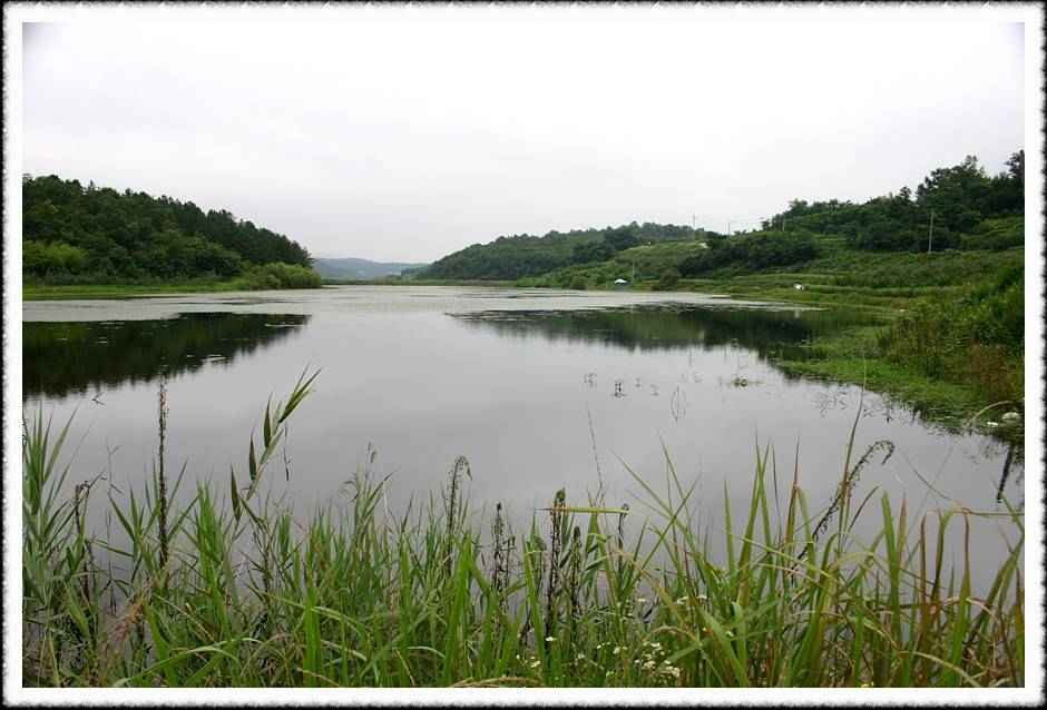 20070720_28.jpg
