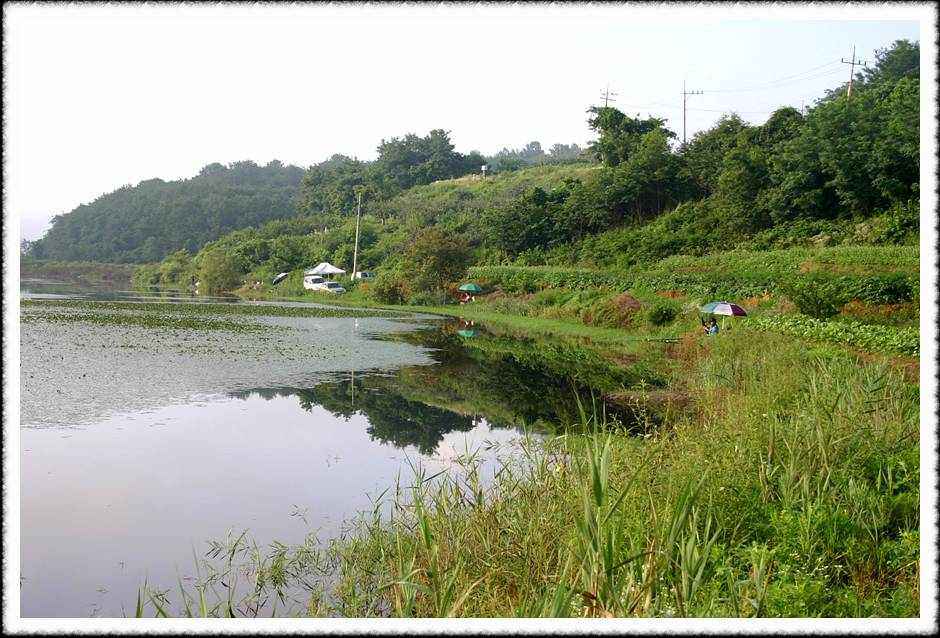 20070720_30.jpg