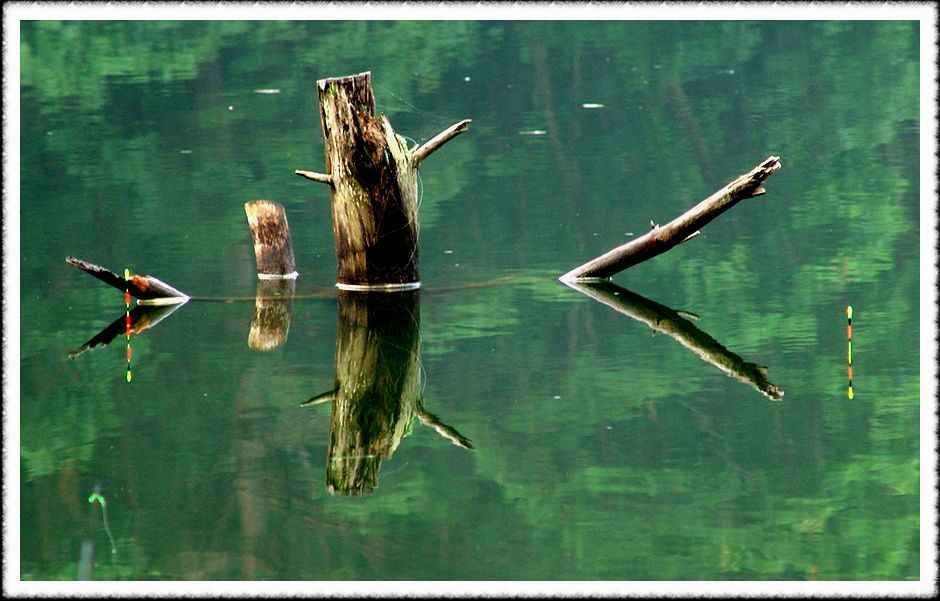 20070731_20.jpg